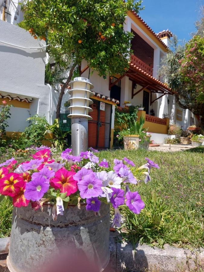 Villa A Tejada à Ortiga Extérieur photo